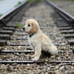 ナンピンEAがなぜ危険なのか